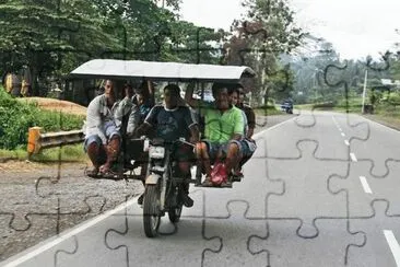 curios jigsaw puzzle