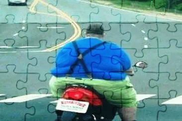 curios jigsaw puzzle