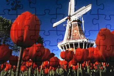 FaraÃ³n jigsaw puzzle