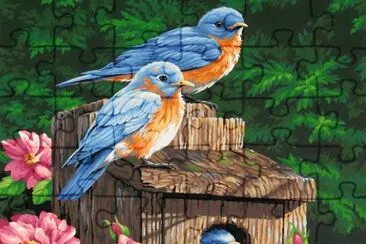 5t6zzz jigsaw puzzle