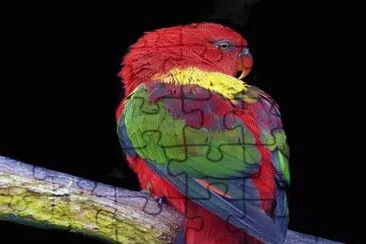 . jigsaw puzzle
