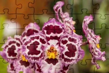 . jigsaw puzzle