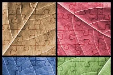 foto jigsaw puzzle