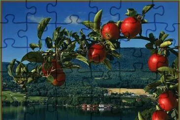 פאזל של Austria