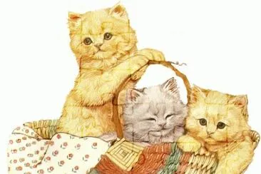Gatos