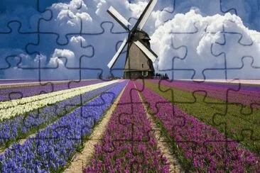 FaraÃ³n jigsaw puzzle
