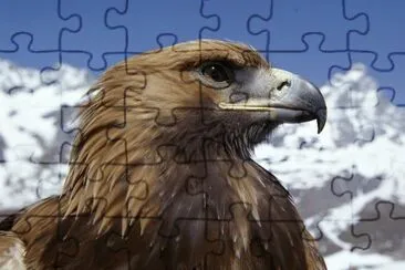 luna azul jigsaw puzzle