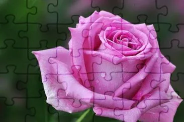 luna azul jigsaw puzzle