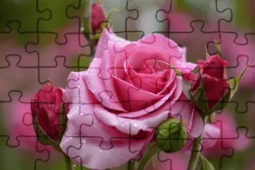 luna azul jigsaw puzzle