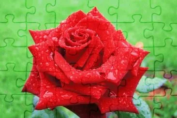 luna azul jigsaw puzzle