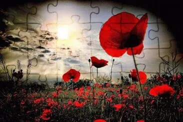 red flowers