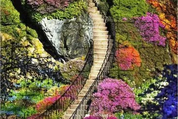 flowery steps