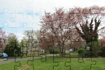 Parque Fernando Costa 2 - SP jigsaw puzzle
