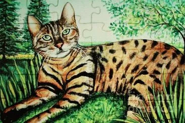 Gatos jigsaw puzzle