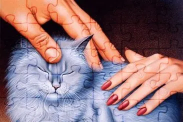 Gatos