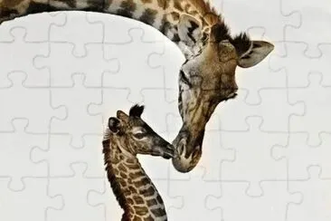 mom #122