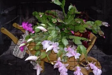 Jardinera