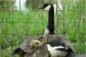 Mom gives us protection