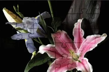 Flower jigsaw puzzle