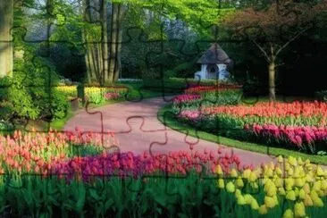 (270) jigsaw puzzle