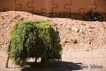 pesaditos jigsaw puzzle