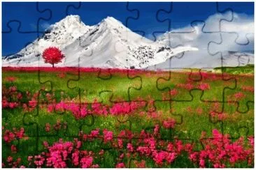 image jigsaw puzzle
