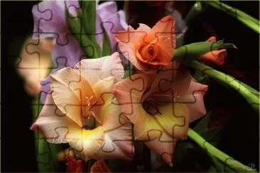 flores jigsaw puzzle