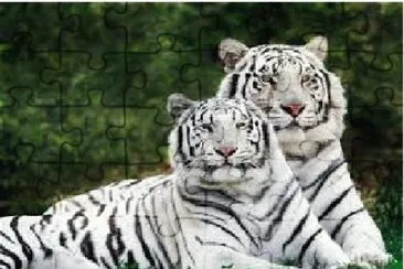 TIGRES