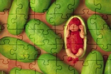 boccioli jigsaw puzzle