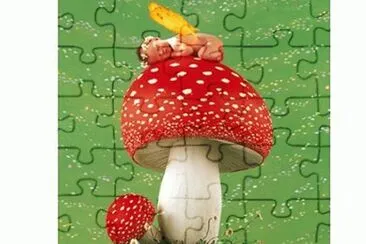 boccioli jigsaw puzzle