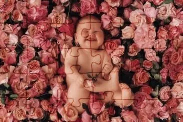 boccioli jigsaw puzzle
