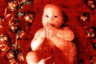 boccioli jigsaw puzzle
