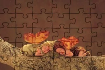 boccioli jigsaw puzzle