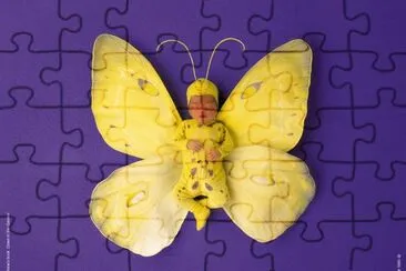 boccioli jigsaw puzzle
