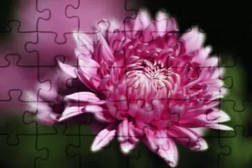 Autumn Flower jigsaw puzzle
