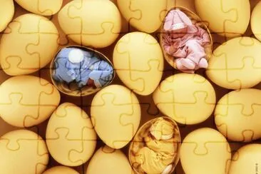 boccioli jigsaw puzzle