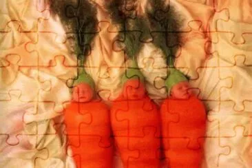 boccioli jigsaw puzzle
