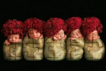 boccioli jigsaw puzzle