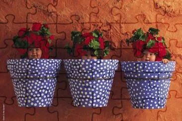 boccioli jigsaw puzzle