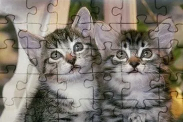 gatets jigsaw puzzle