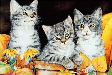 Pintura jigsaw puzzle