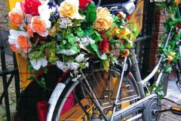 Dutch Flower Power Bike  the Netherlands jigsaw puzzle