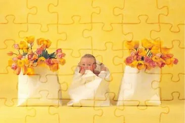 boccioli jigsaw puzzle