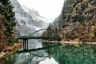 nov17 jigsaw puzzle
