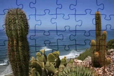 Cactus in garden of Fellowship near the Pacific O jigsaw puzzle