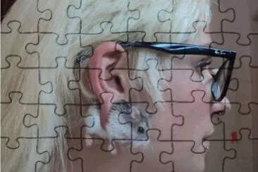 curious jigsaw puzzle