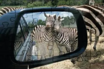 curious jigsaw puzzle