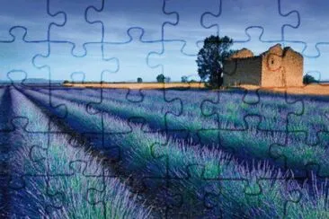 Stone Barn in Lavender field jigsaw puzzle
