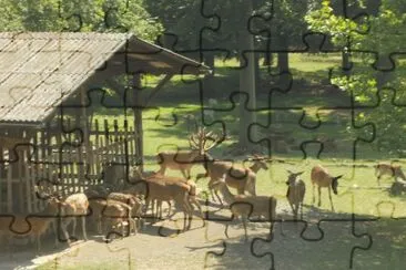 REHE jigsaw puzzle