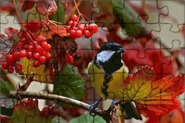Great Titmouse during Autumn jigsaw puzzle